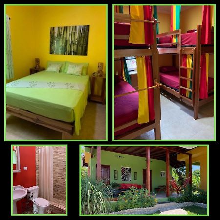 Green Queendom Farm And Lodging Oracabessa Eksteriør billede